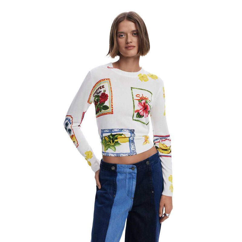 Desigual Tampere Pullover image number 0